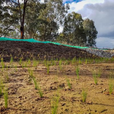 Brooklyn Fields Thurgoona - Envrio Culture Albury