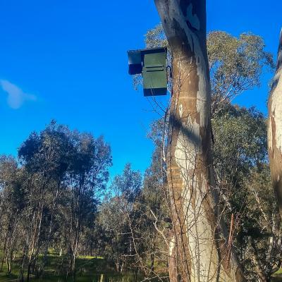 Woolshed Creek Thurgoona N.S.W - Enviro Culture Services