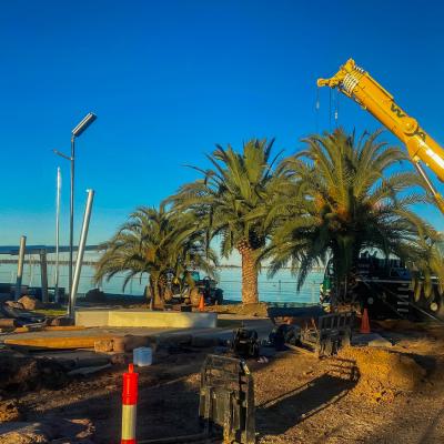 Super Advanced Tree Planting - Enviro Culture Albury