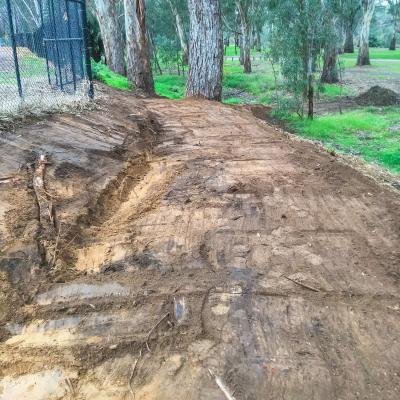 Corowa Lagoon Walking Train  - Enviro Culture Albury
