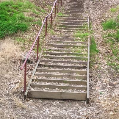 Corowa Lagoon Walking Train  - Enviro Culture Albury