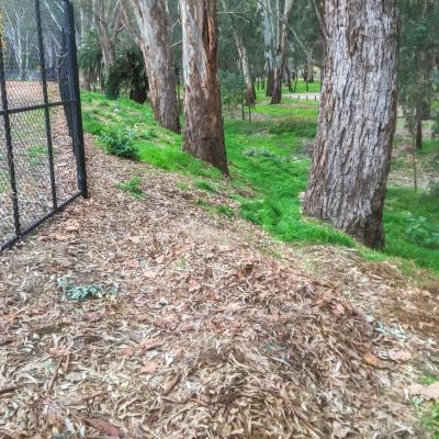 Corowa Lagoon Walking Train  - Enviro Culture Albury