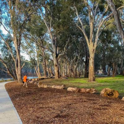 Corowa Lagoon Walking Train  - Enviro Culture Albury