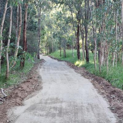 Murray River Walking Trail - Enviro Culture Albury