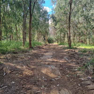 Murray River Walking Trail - Enviro Culture Albury