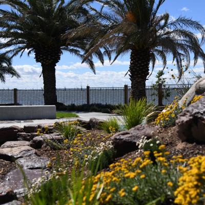 Purtle Park Lake Mulwala - Enviro Culture Albury