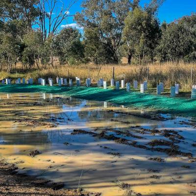Daveys Road Interchange Thurgoona - Enviro Culture Albury