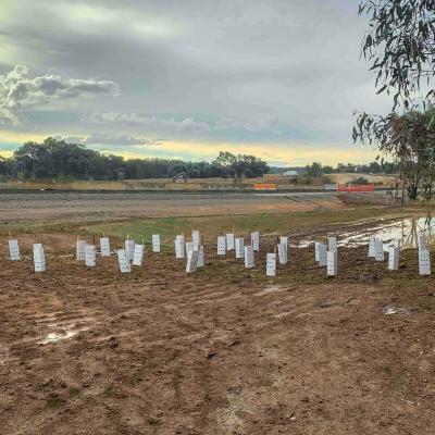 Daveys Road Interchange Thurgoona - Enviro Culture Albury