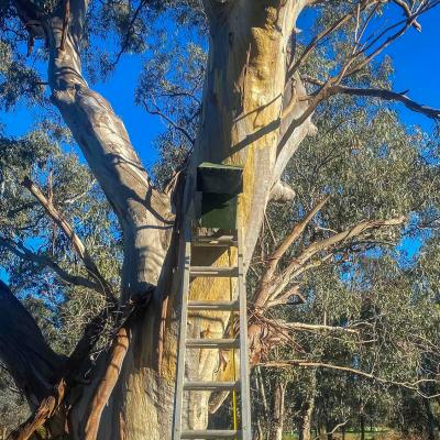Brooklyn Fields Thurgoona - Envrio Culture Albury