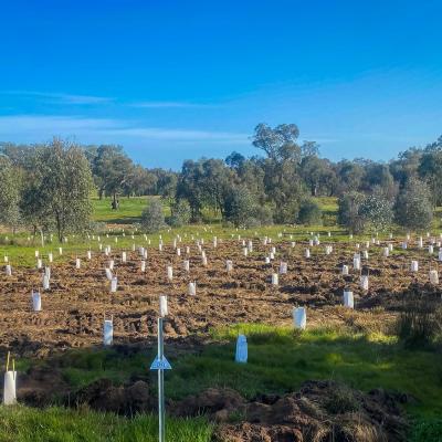 Brooklyn Fields Thurgoona - Envrio Culture Albury