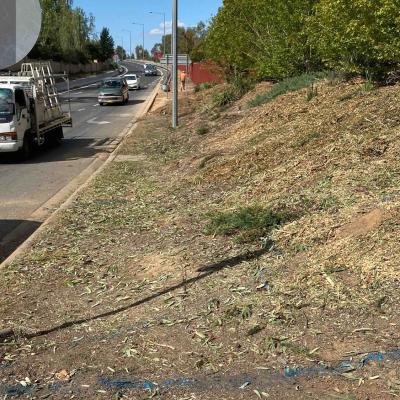 High Street Off Ramp Wodonga - Enviro Culture Albury